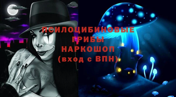 МДПВ Бердск