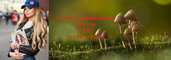 спиды Артём