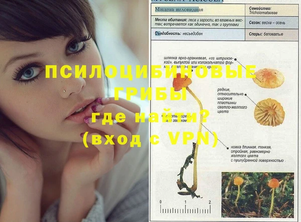 ПСИЛОЦИБИНОВЫЕ ГРИБЫ Медвежьегорск