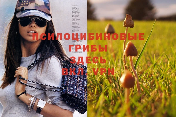 гашиш Бородино