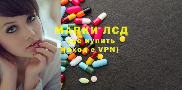 ПСИЛОЦИБИНОВЫЕ ГРИБЫ Медвежьегорск