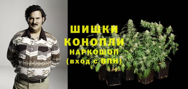 ПСИЛОЦИБИНОВЫЕ ГРИБЫ Медвежьегорск
